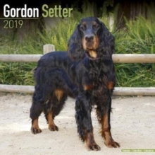 Gordon Setter Calendar 2019, Paperback Book Gordon Setter Calendar 2019, Paperback Book