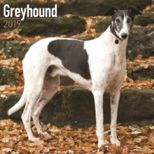 Greyhound Calendar 2019, Paperback Book Greyhound Calendar 2019, Paperback Book
