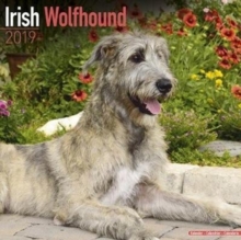 Irish Wolfhound Calendar 2019, Paperback Book Irish Wolfhound Calendar 2019, Paperback Book