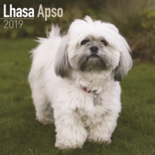 Lhasa Apso Calendar 2019, Paperback Book Lhasa Apso Calendar 2019, Paperback Book