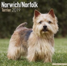 Norwich/Norfolk Terrier Calendar 2019, Paperback Book Norwich/Norfolk Terrier Calendar 2019, Paperback Book