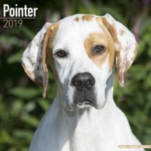 Pointer Calendar 2019, Paperback Book Pointer Calendar 2019, Paperback Book