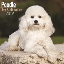 Poodle Toy & Miniature Calendar 2019, Paperback Book Poodle Toy & Miniature Calendar 2019, Paperback Book