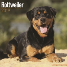 Rottweiler Calendar 2019, Paperback Book Rottweiler Calendar 2019, Paperback Book
