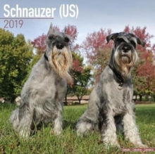Schnauzer (US) Calendar 2019, Paperback Book Schnauzer (US) Calendar 2019, Paperback Book