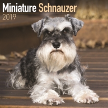 Miniature Schnauzer Calendar 2019, Paperback Book Miniature Schnauzer Calendar 2019, Paperback Book