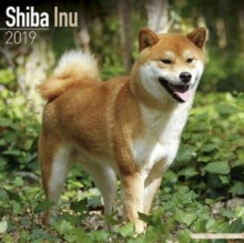 Shiba Inu Calendar 2019, Paperback Book Shiba Inu Calendar 2019, Paperback Book