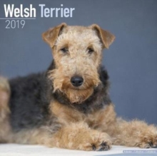 Welsh Terrier Calendar 2019, Paperback Book Welsh Terrier Calendar 2019, Paperback Book