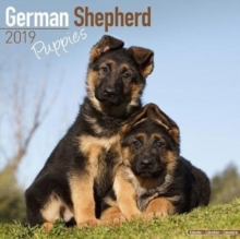 German Shepherd Puppies Calendar 2019, Paperback Book German Shepherd Puppies Calendar 2019, Paperback Book