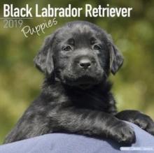 Black Labrador Retriever Puppies Calendar 2019, Paperback Book Black Labrador Retriever Puppies Calendar 2019, Paperback Book