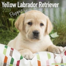 Yellow Labrador Retriever Puppies Calendar 2019, Paperback Book Yellow Labrador Retriever Puppies Calendar 2019, Paperback Book