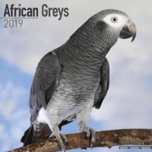 African Greys Calendar 2019, Paperback Book African Greys Calendar 2019, Paperback Book