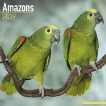 Amazons Calendar 2019, Paperback Book Amazons Calendar 2019, Paperback Book