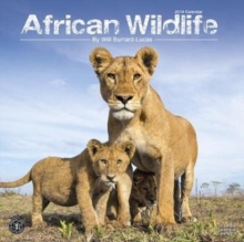 African Wildlife Calendar 2019, Paperback Book African Wildlife Calendar 2019, Paperback Book
