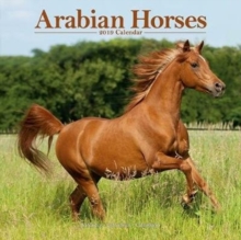 Arabian Horses Calendar 2019, Paperback / softback Book Arabian Horses Calendar 2019, Paperback / softback Book