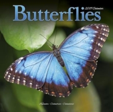 Butterflies Calendar 2019, Paperback Book Butterflies Calendar 2019, Paperback Book