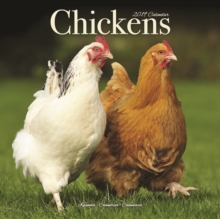 Chickens Calendar 2019, Paperback Book Chickens Calendar 2019, Paperback Book