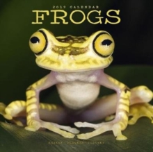 Frogs Calendar 2019, Paperback Book Frogs Calendar 2019, Paperback Book