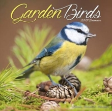 Garden Birds Calendar 2019, Paperback Book Garden Birds Calendar 2019, Paperback Book