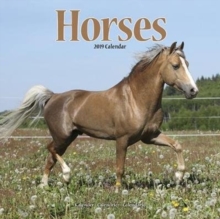 Horses Calendar 2019, Paperback Book Horses Calendar 2019, Paperback Book