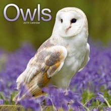 Owls Calendar 2019, Paperback Book Owls Calendar 2019, Paperback Book