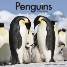 Penguins Calendar 2019, Paperback Book Penguins Calendar 2019, Paperback Book