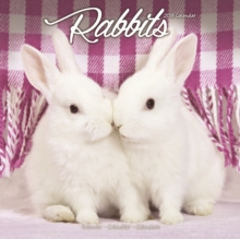 Rabbits Calendar 2019, Paperback Book Rabbits Calendar 2019, Paperback Book