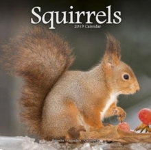 Squirrels Calendar 2019, Paperback Book Squirrels Calendar 2019, Paperback Book