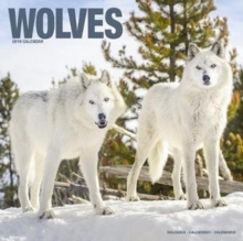 Wolves Calendar 2019, Paperback Book Wolves Calendar 2019, Paperback Book