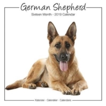 German Shepherd Studio Calendar 2019, Paperback Book German Shepherd Studio Calendar 2019, Paperback Book