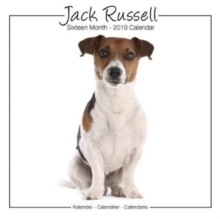 Jack Russell Studio Calendar 2019, Paperback Book Jack Russell Studio Calendar 2019, Paperback Book