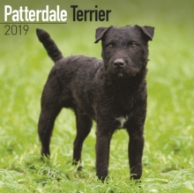 Patterdale Terrier Calendar 2019, Paperback Book Patterdale Terrier Calendar 2019, Paperback Book