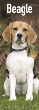 Beagle Slim Calendar 2019, Paperback Book Beagle Slim Calendar 2019, Paperback Book