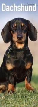Dachshund Slim Calendar 2019, Paperback Book Dachshund Slim Calendar 2019, Paperback Book
