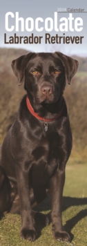 Chocolate Labrador Retriever Slim Calendar 2019, Paperback Book Chocolate Labrador Retriever Slim Calendar 2019, Paperback Book