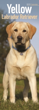 Yellow Labrador Retriever Slim Calendar 2019, Paperback Book Yellow Labrador Retriever Slim Calendar 2019, Paperback Book
