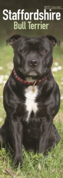 Staffordshire Bull Terrier Slim Calendar 2019, Paperback Book Staffordshire Bull Terrier Slim Calendar 2019, Paperback Book