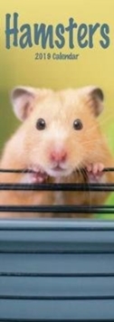 Hamsters Slim Calendar 2019, Paperback Book Hamsters Slim Calendar 2019, Paperback Book