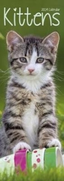Kittens Slim Calendar 2019, Paperback Book Kittens Slim Calendar 2019, Paperback Book
