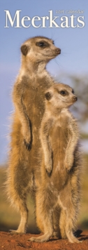 Meerkats Slim Calendar 2019, Paperback Book Meerkats Slim Calendar 2019, Paperback Book