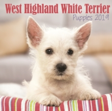West Highland White Terrier Puppies M 2019, Paperback Book West Highland White Terrier Puppies M 2019, Paperback Book