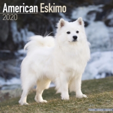 American Eskimo Calendar 2020, Paperback / softback Book American Eskimo Calendar 2020, Paperback / softback Book