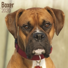 Boxer Calendar 2020, Paperback / softback Book Boxer Calendar 2020, Paperback / softback Book