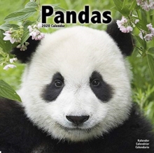 Pandas Calendar 2020, Paperback / softback Book Pandas Calendar 2020, Paperback / softback Book