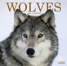 Wolves Calendar 2020, Paperback / softback Book Wolves Calendar 2020, Paperback / softback Book