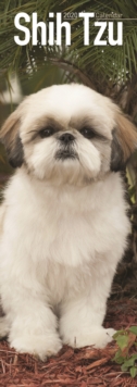 Shih Tzu Slim Calendar 2020, Paperback / softback Book Shih Tzu Slim Calendar 2020, Paperback / softback Book