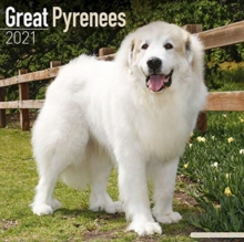 Great Pyrenees 2021 Wall Calendar