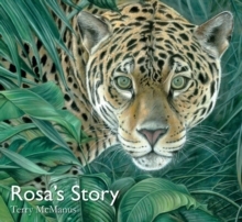 Rosa's Story, Paperback / softback Book Rosa's Story, Paperback / softback Book