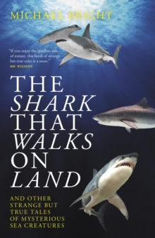 The Shark That Walks On Land