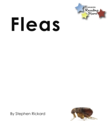 Fleas